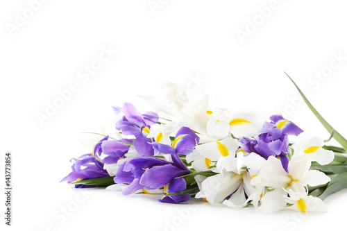 Fototapeta Naklejka Na Ścianę i Meble -  Bouquet of iris flowers isolated on a white