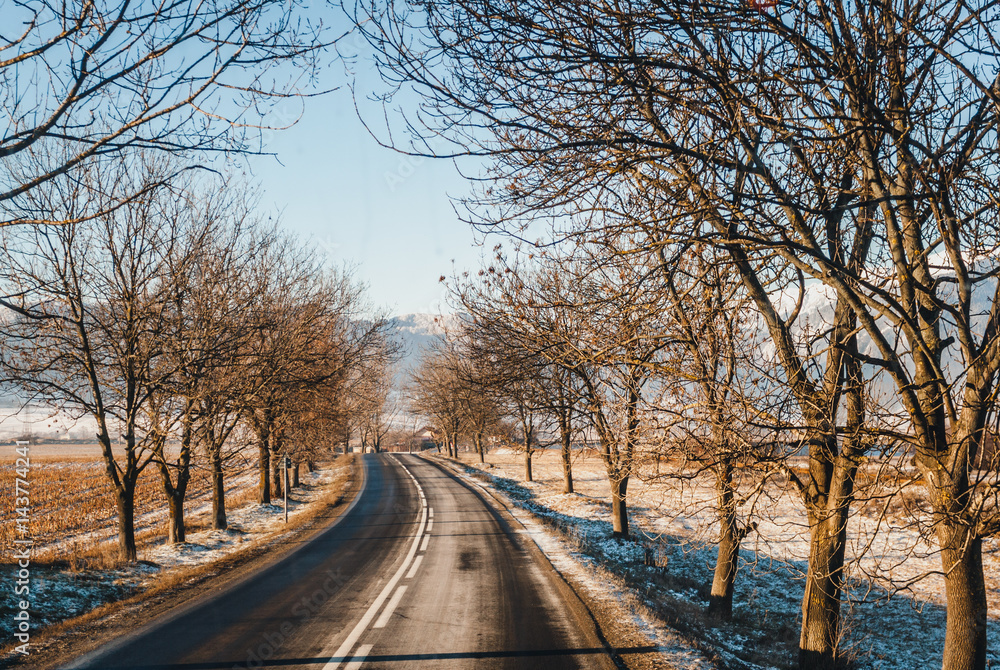 Empty winter road with snow beside the road and bare trees Empty winter road with snow beside the road and bare trees
