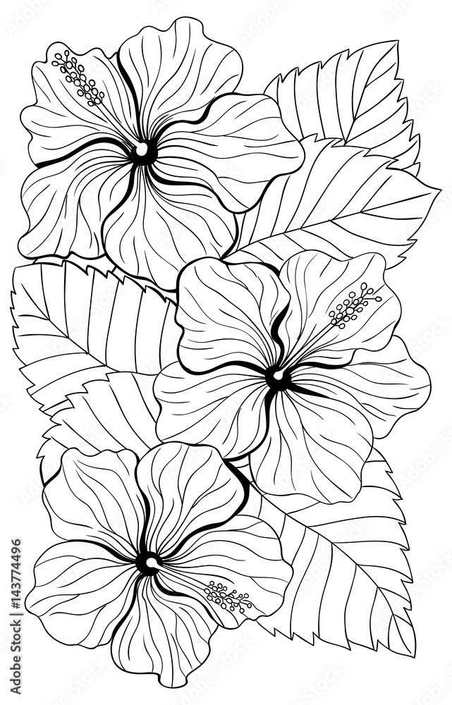Bouquet of hibiscus flower and tropical leaves on white background