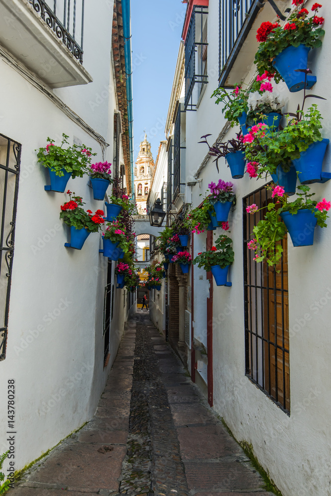 Fototapeta premium Calleja de las Flores in Cordoba, Spain