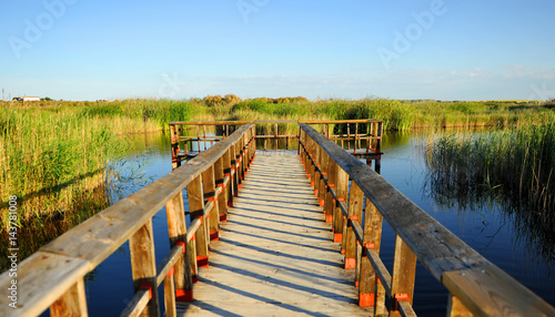 Tablas de Daimiel  Espa  a