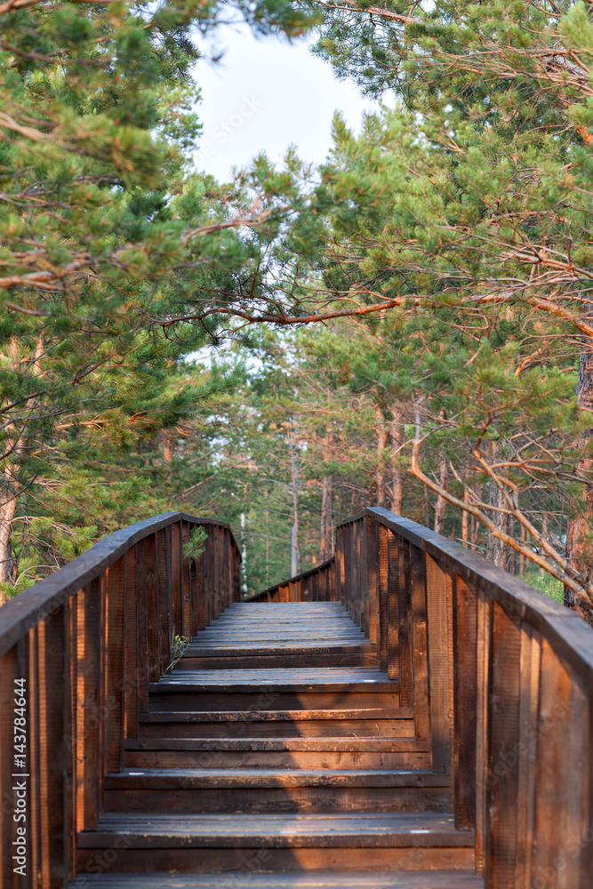Obraz premium Schody na drewniany most