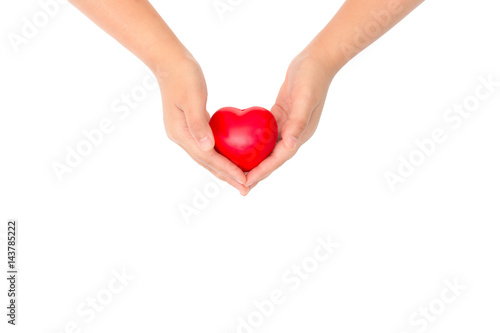 heart in hands isolated on white background with clipping path