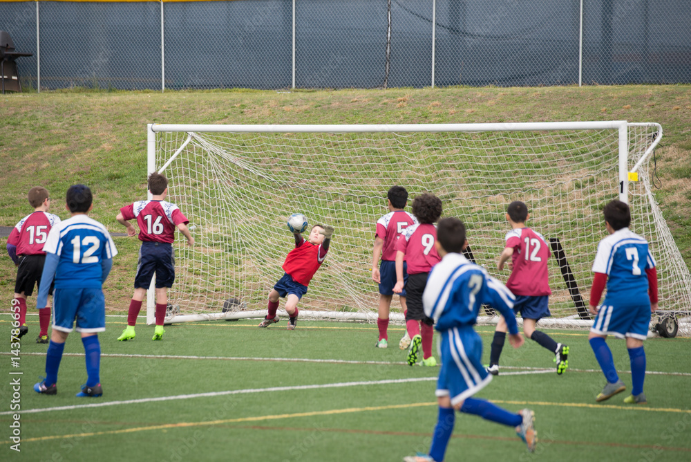 Fototapeta premium Goalkeeper Saves the Day