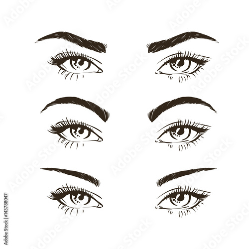 3 basic eyebrow shape types vector illustration. Fashion female brow