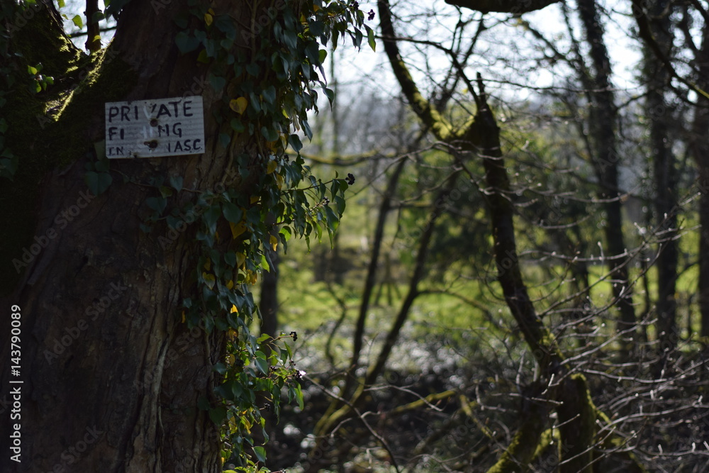 Fishing sign next to river Fishing sign next to river