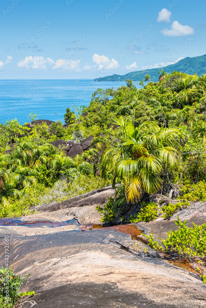 Anse Major Nature Trail, Mahe Island, Seychelles, Indian Ocean, Eastern Africa