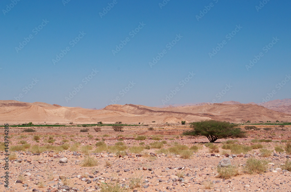Medio Oriente, 10/03/2013: le montagne e il paesaggio deserto della Riserva Biosfera di Dana, la più grande riserva naturale della Giordania, a Petra