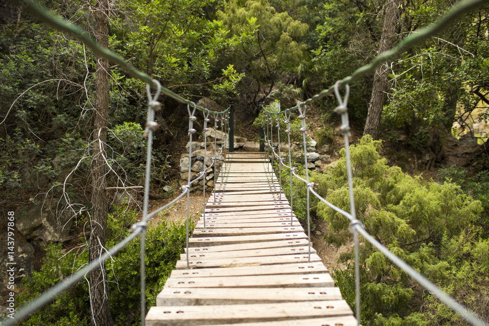 Fototapeta premium Most drewniany