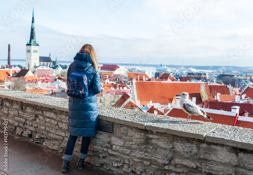 Woman and seagull at the observation point of Toompea hill. Historical part of Tallinn as a background