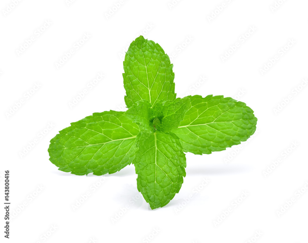 Mint leaves isolated on white background. Mint leaves isolated on white background.