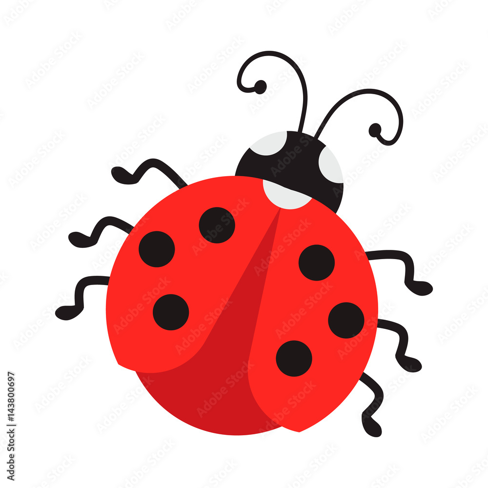 ladybug flat icon ladybug flat icon