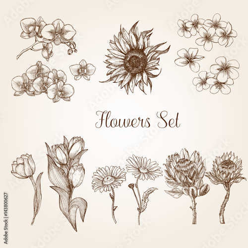 Flowers set