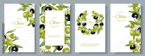 Olive vertical banners