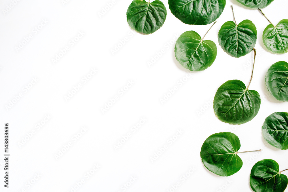 Floral pattern made of green leaves, branches on white background. Flat lay, top view. Leaf pattern texture. Floral pattern made of green leaves, branches on white background. Flat lay, top view. Leaf pattern texture.