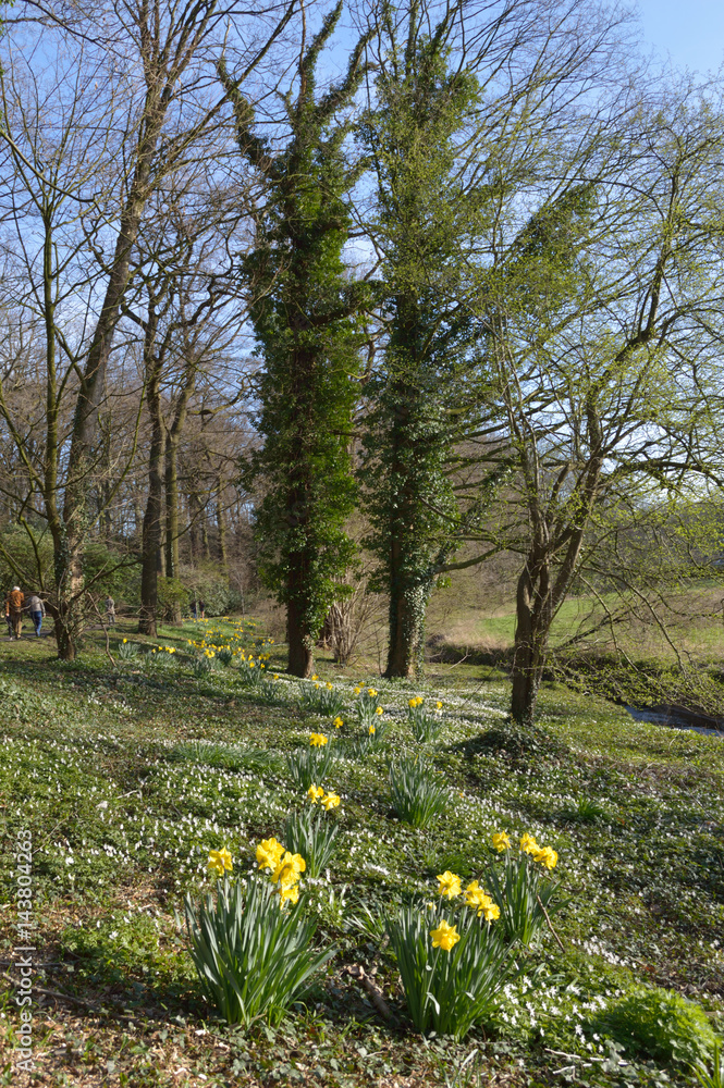 Frühling im Park Frühling im Park