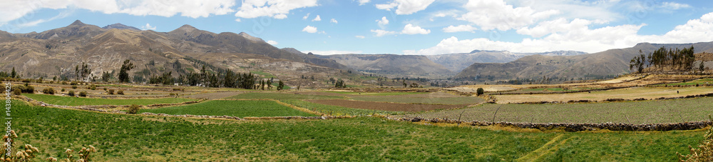 Colca Valley, Arequipa, Peru, South America