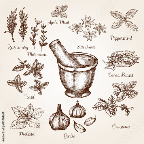 Hand drawn set of spicies with mortar