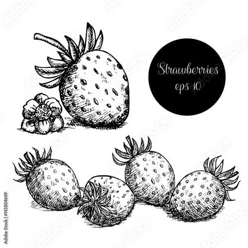 Hand drawn strawberries