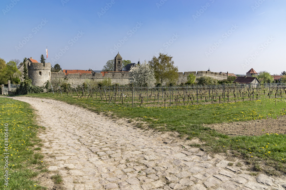 A village with a completely preserved wall from the Middle Ages which still leads around the entire village.