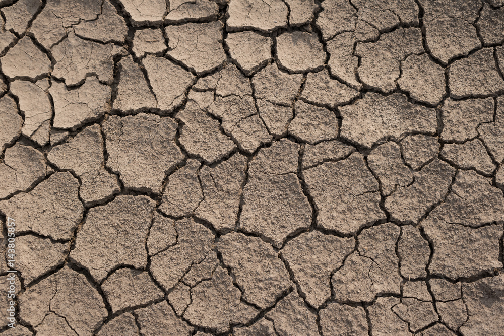 Dry and cracked earth texture. Global climate. Dry and cracked earth texture. Global climate.