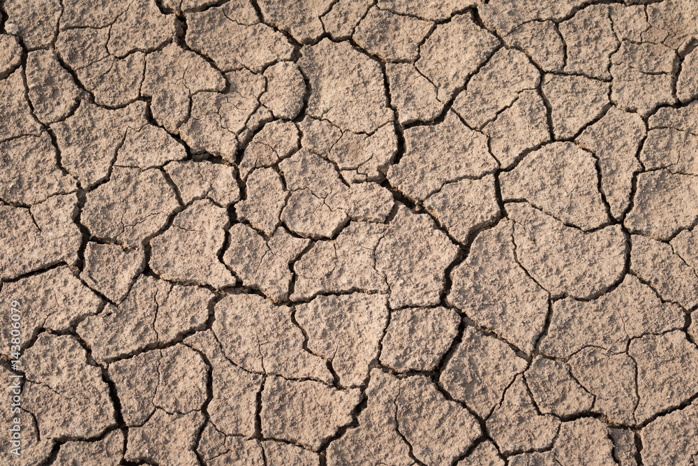 Dry and cracked earth texture. Global climate. Dry and cracked earth texture. Global climate.