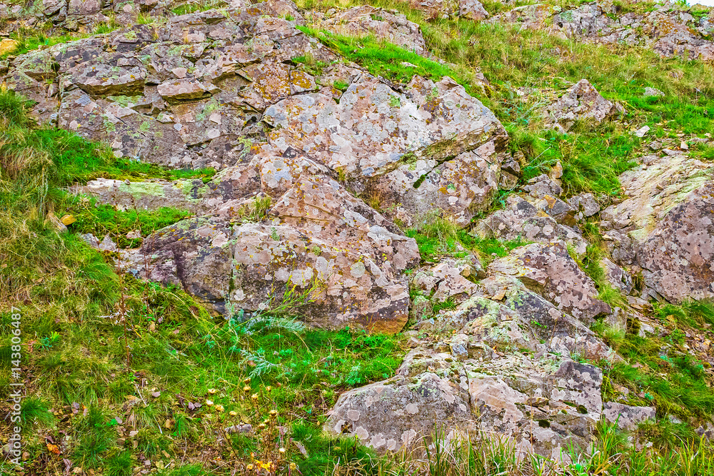 Stones and rock covered with beautiful moss, autumn landscape, nature background