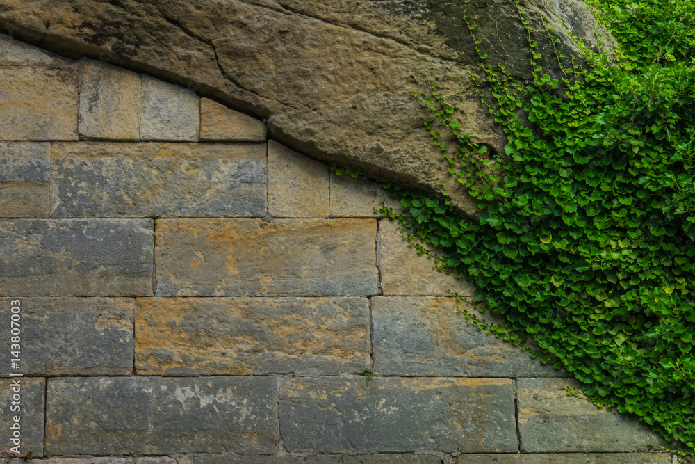 The old stone wall and stonework with green ivy The old stone wall and stonework with green ivy