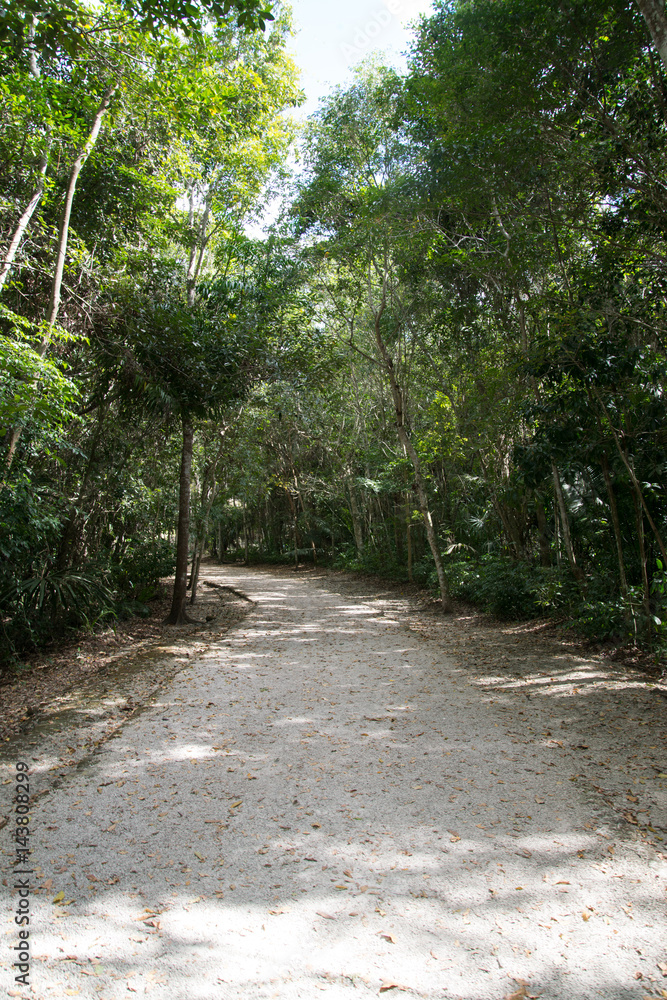 Kohunlich is a large archaeological site of Maya civilization, Yucatan Peninsula, Quintana Roo, Mexico. 