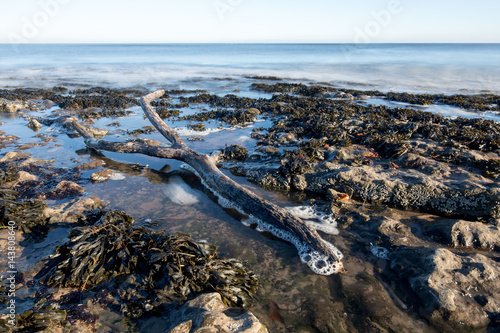 Εκτύπωση καμβά Driftwood in sea pool