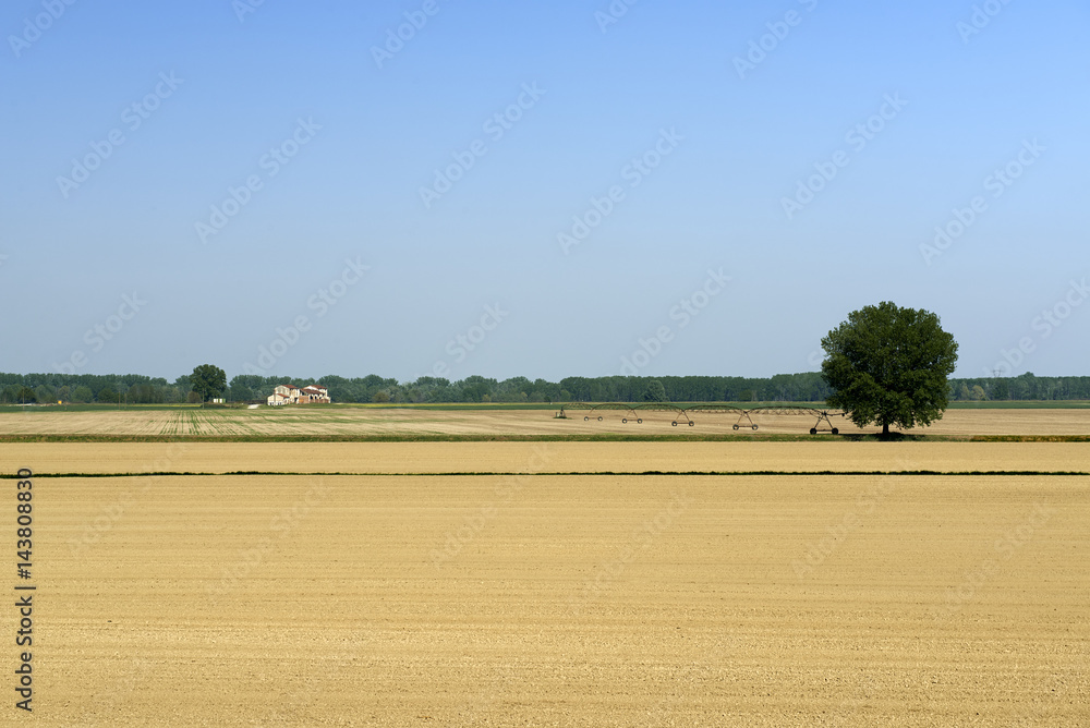 Obraz premium golena