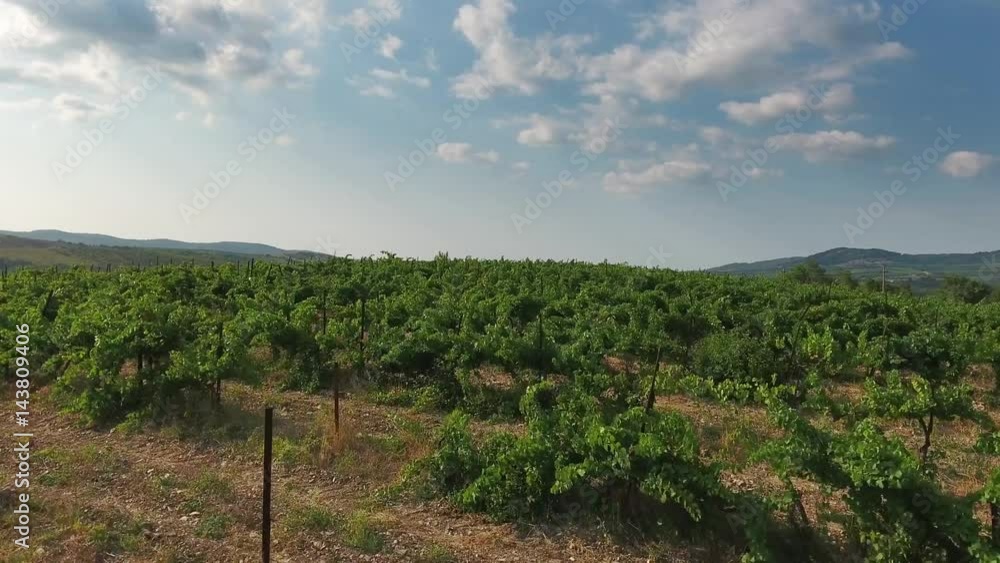 Aerial view on vineyards in Abrau Durso, Caucasus, Russia, 4k
Aerial view on vineyards in Abrau Durso, Caucasus, Russia, 4k