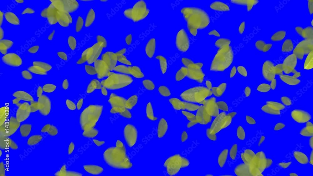 4K Falling Leaves 4K Falling Leaves