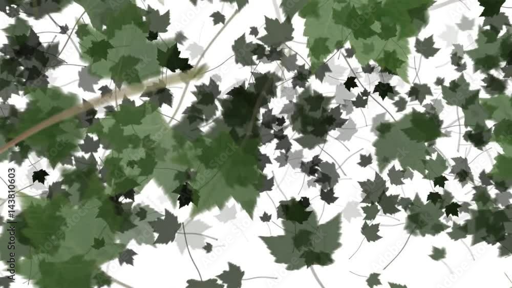 4K Falling Leaves 4K Falling Leaves