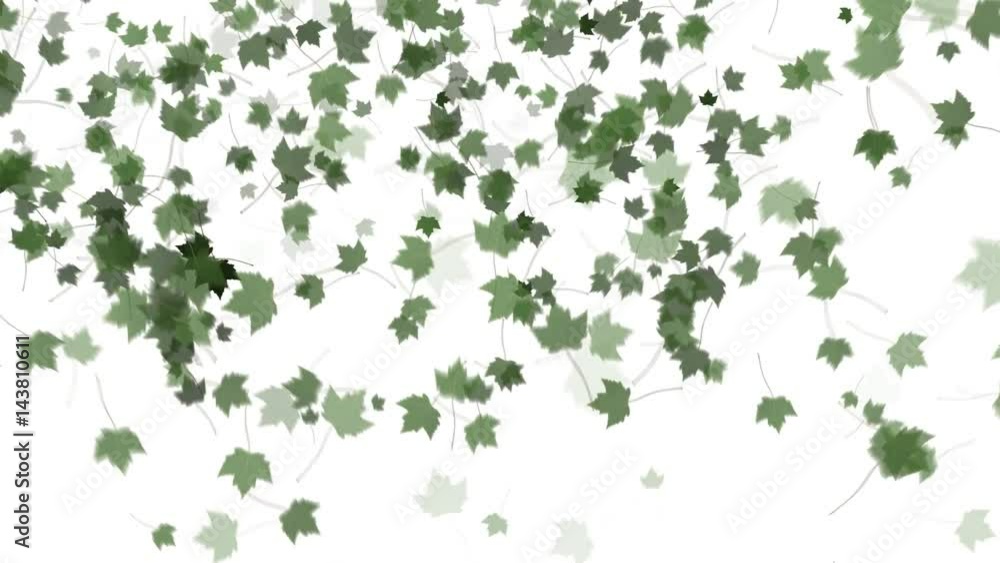 4K Falling Leaves 4K Falling Leaves