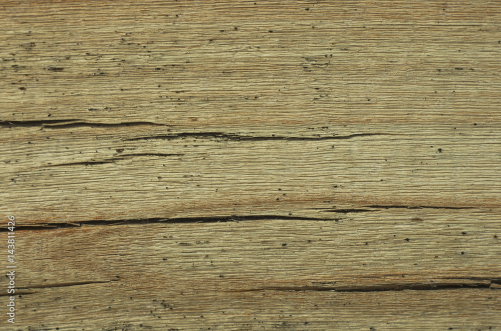 Texture of old wood light background Texture of old wood light background