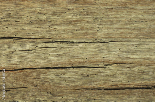 Texture of old wood light background