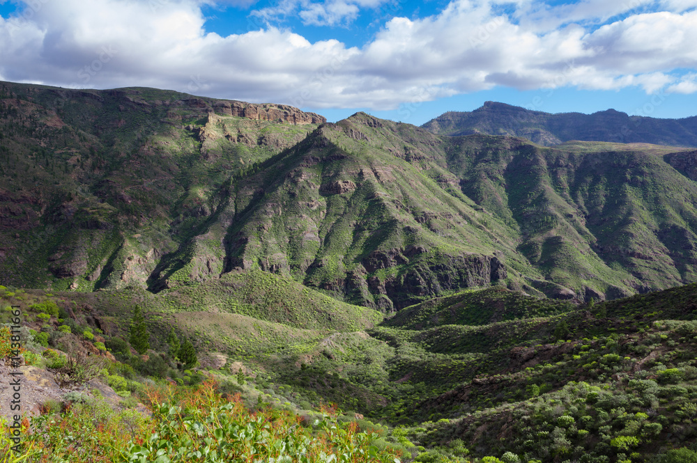 Fototapeta premium Mountain landscape in Gran Canaria
