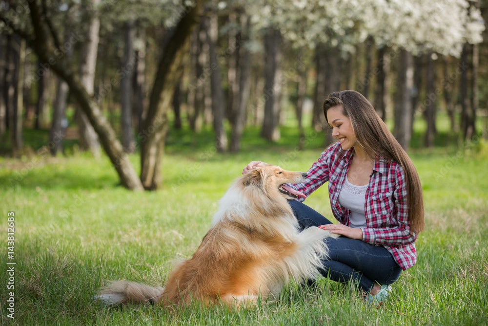 Fototapeta young beautiful woman with long hair sits on the lawn with collie dog. Outdoors in the park.