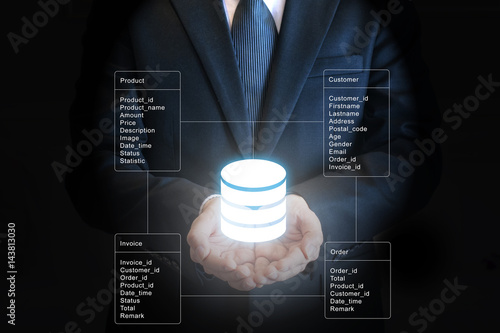 Professional businessman connecting network and database on hands in technology and business concept photo