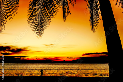 Silhouette coconut palm tree in twilight