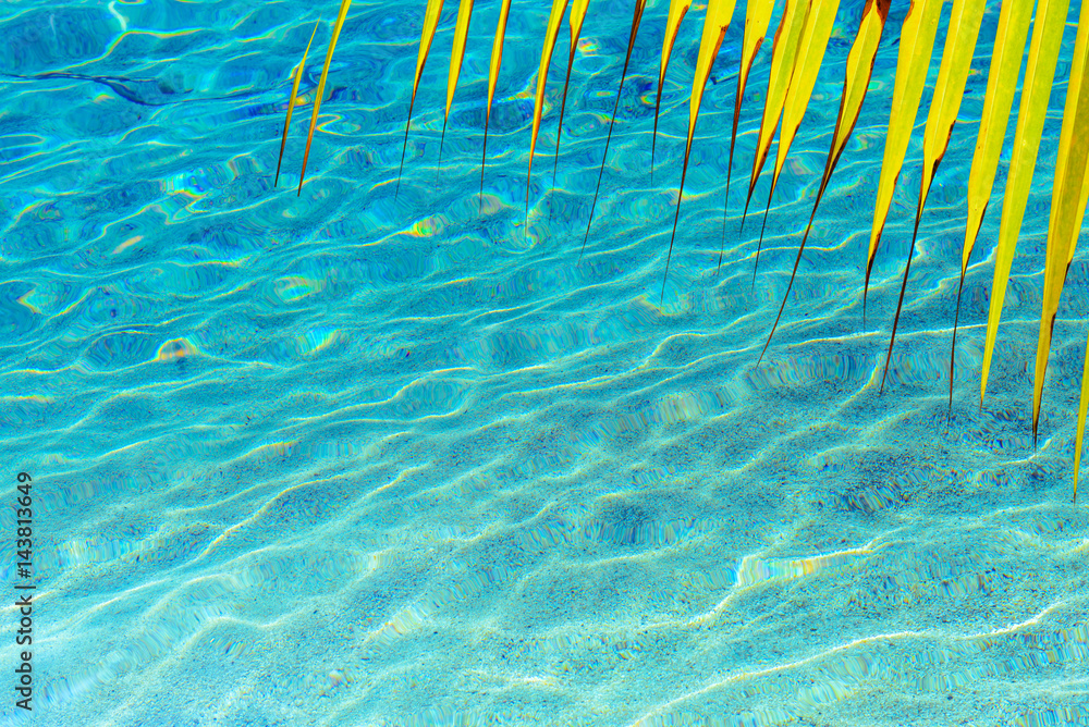 Shining blue water ripples and palm tree leaf background. Clear sea water background. Travel concept.