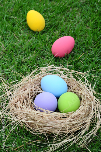 Easter eggs in nest on grass background