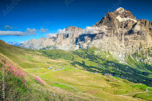 Spectacular summer alpine landscape with mountain flowers, Switzerland, Europe