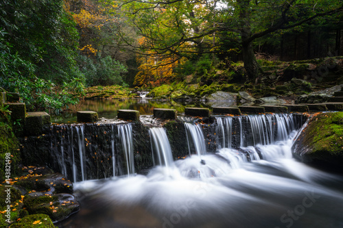 Tollymore Forest in autumn fall