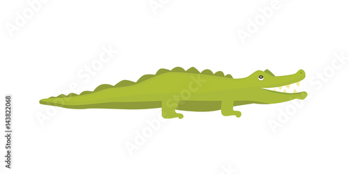 Fototapeta Cute Crocodile. Aligator vector cartoon illustration