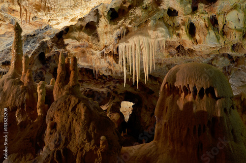 Bears cave, Romania