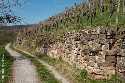 Alte Mauer aus Stein im Weinberg