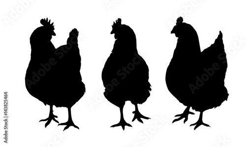 Set of three black silhouettes of hens and chickens pecking standing and walking isolated on white background - vector