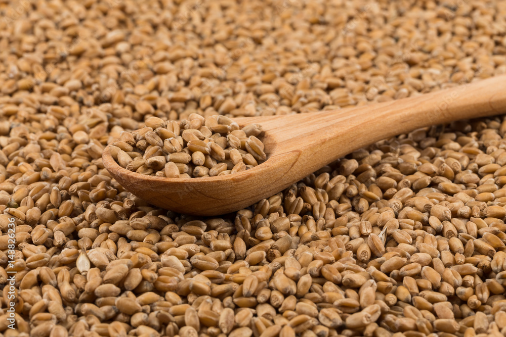 Obraz premium Wheat grain on white